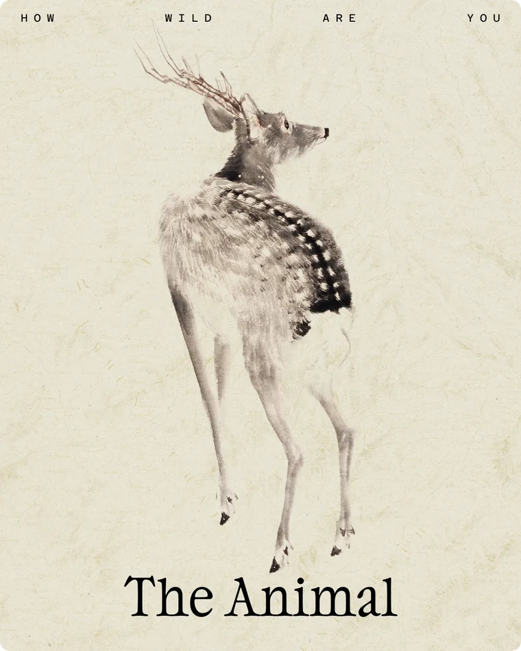 The Animal